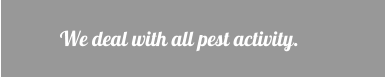 We deal with all pest activity.
