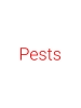 Pests