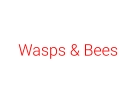 Wasps & Bees