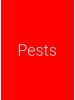 Pests